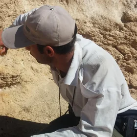 Geochemical Survey and Ecosystem