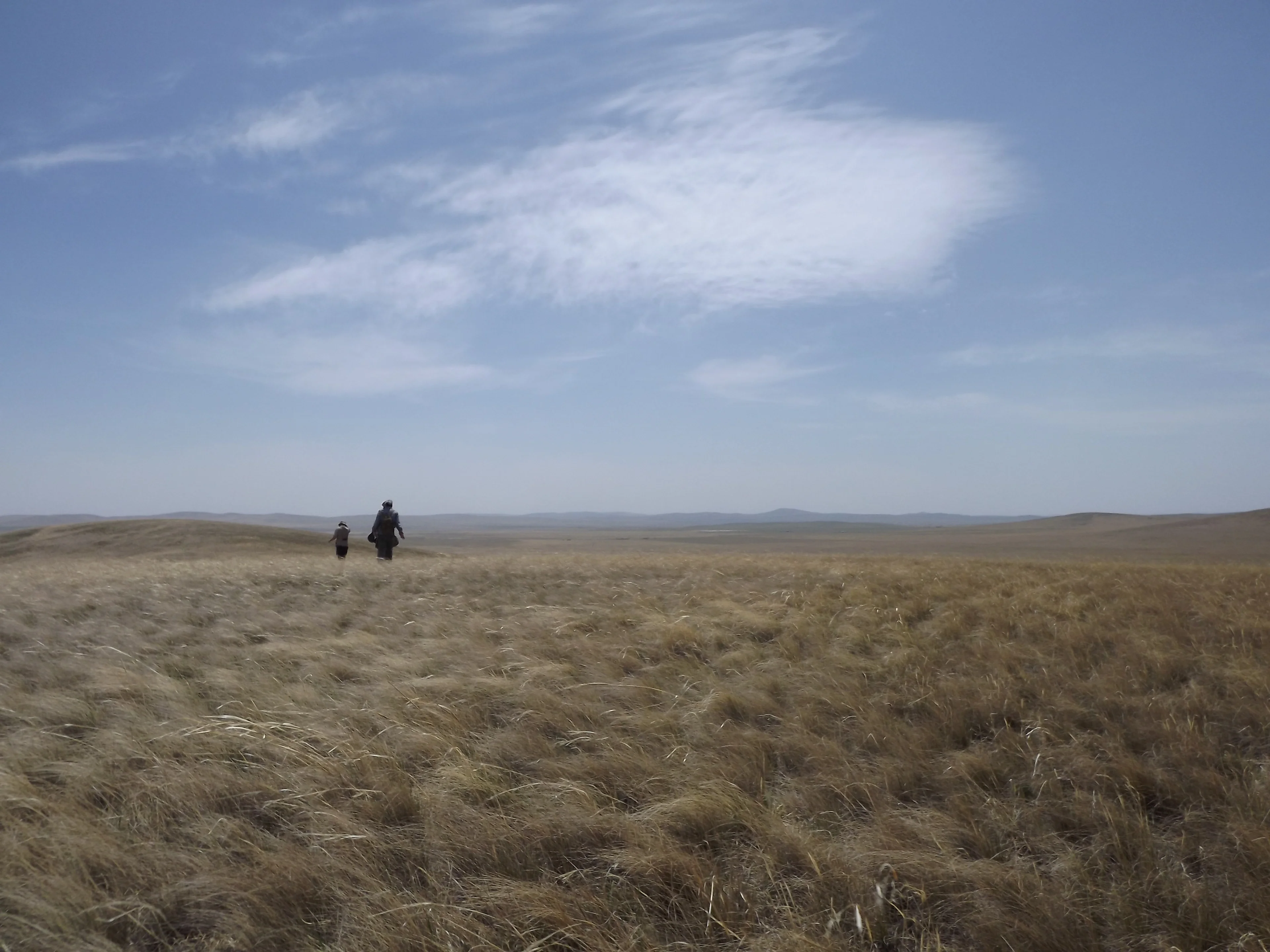 Outcrops, we look for