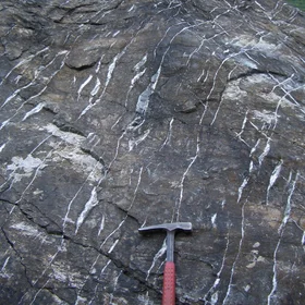 Veins in a ductile shear zone