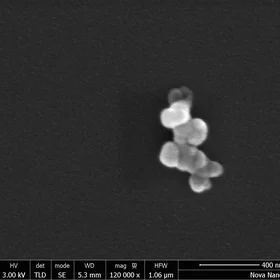 The Tigger Particle (ATD)