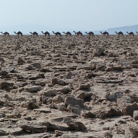 Salt flat in the Danakil depression