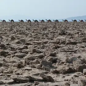 Salt flat in the Danakil depression
