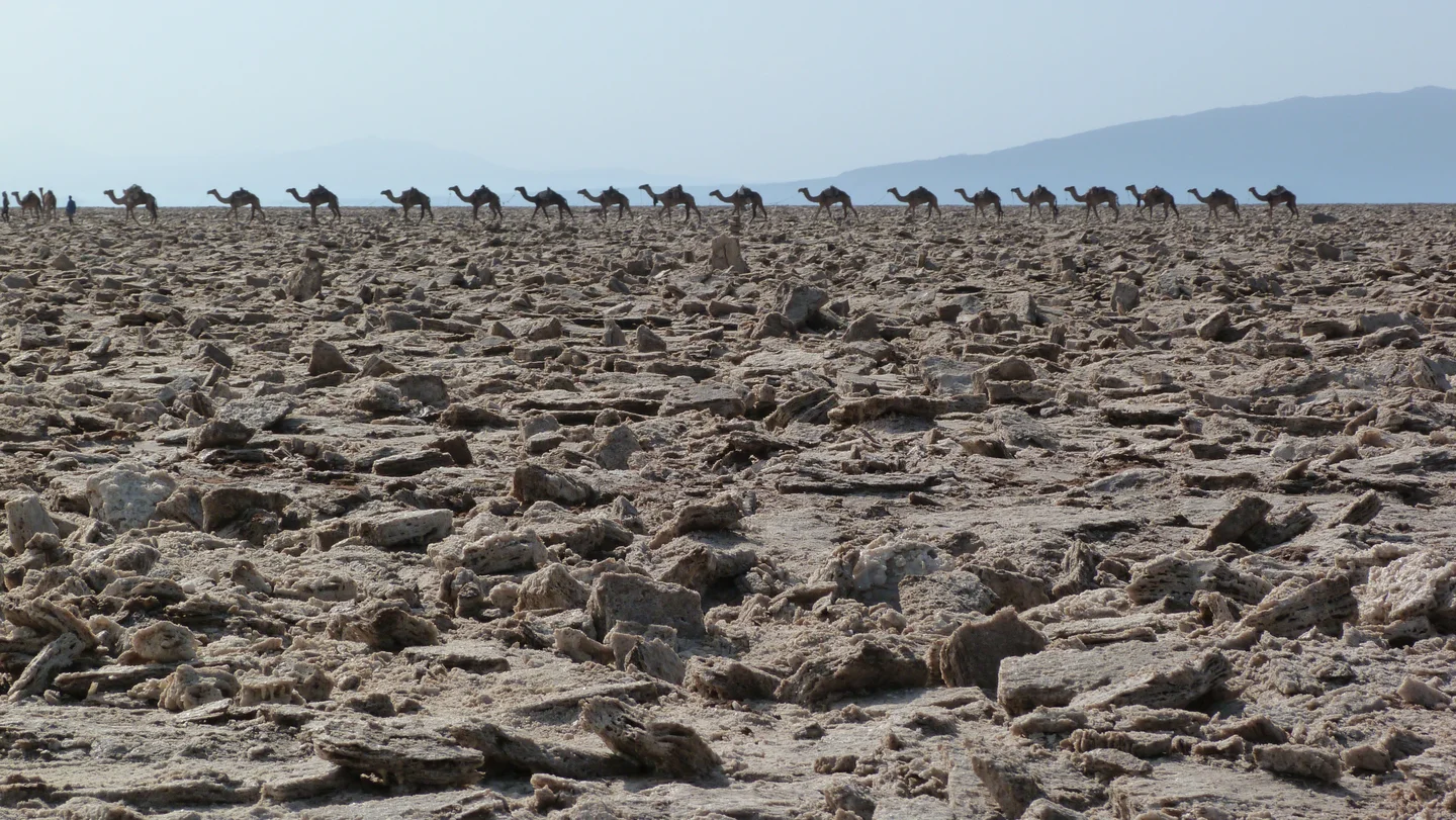 Salt flat in the Danakil depression