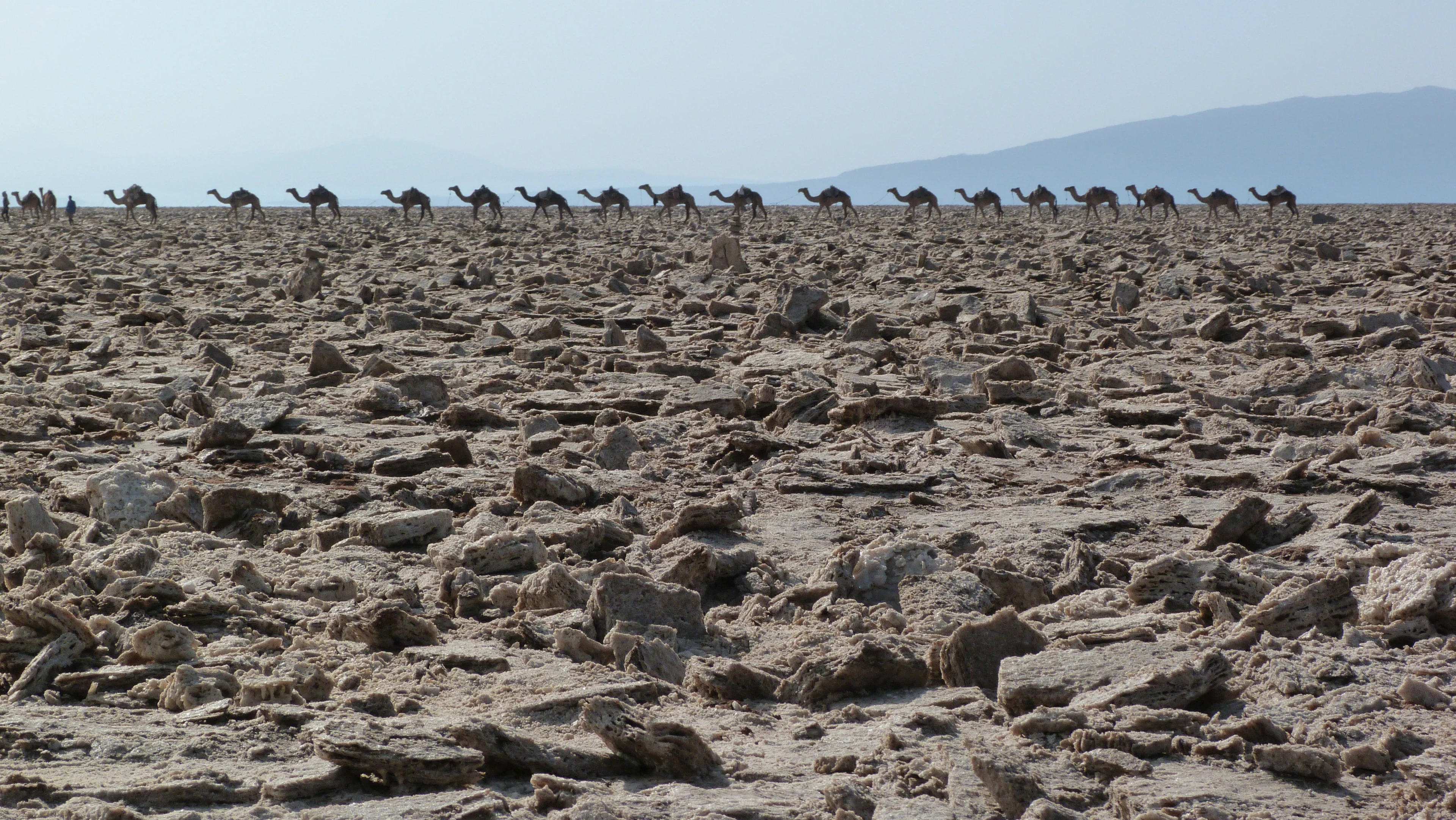 Salt flat in the Danakil depression
