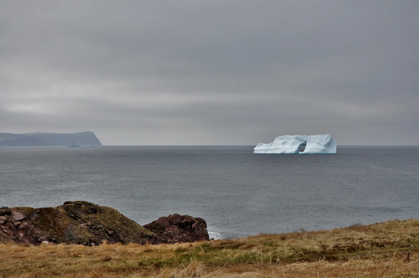 Icerberg off Newfoundland coast, Canada