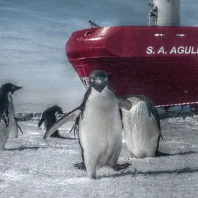 Welcome to Antarctica: my first step on the white continent