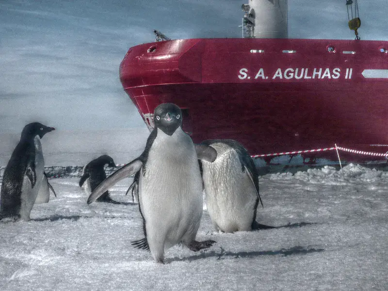 Welcome to Antarctica: my first step on the white continent