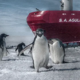 Welcome to Antarctica: my first step on the white continent