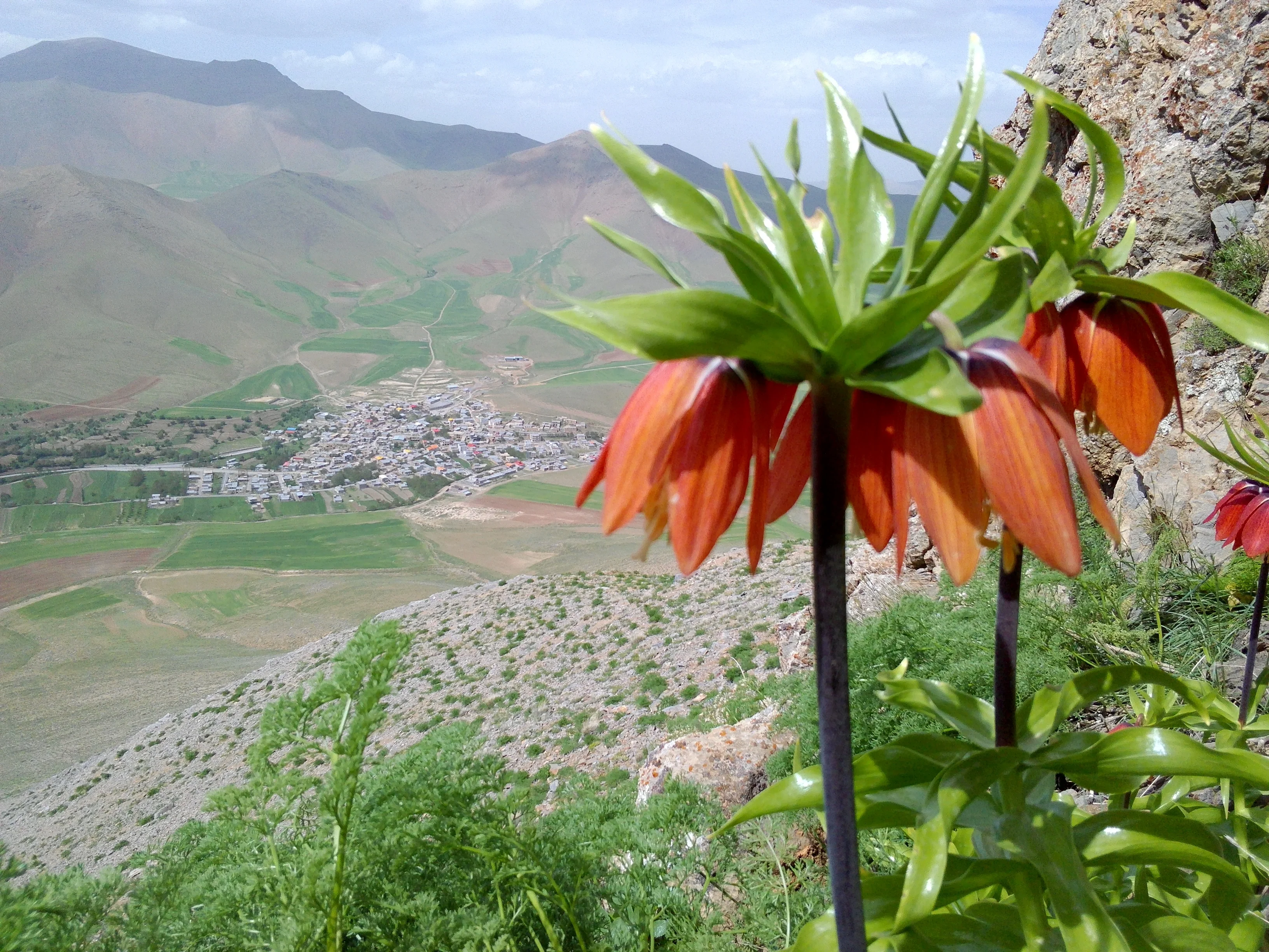 Iranian village in spring