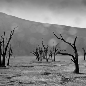 Rain in the Namib Desert