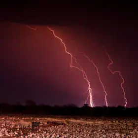 Lightning with Rhino