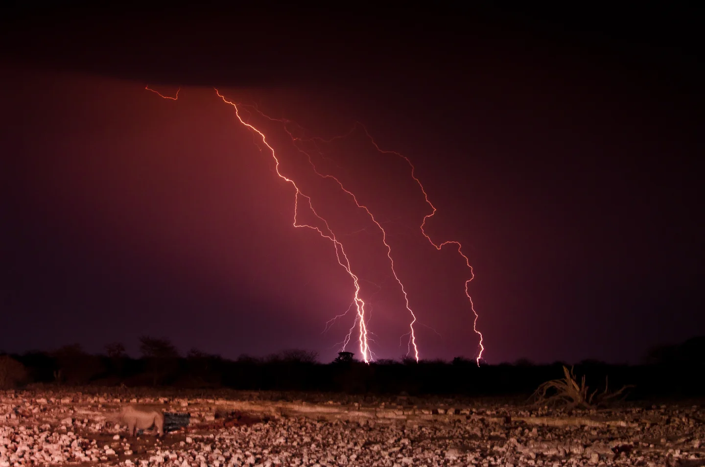 Lightning with Rhino