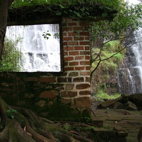 Karera Falls: Biological continuity