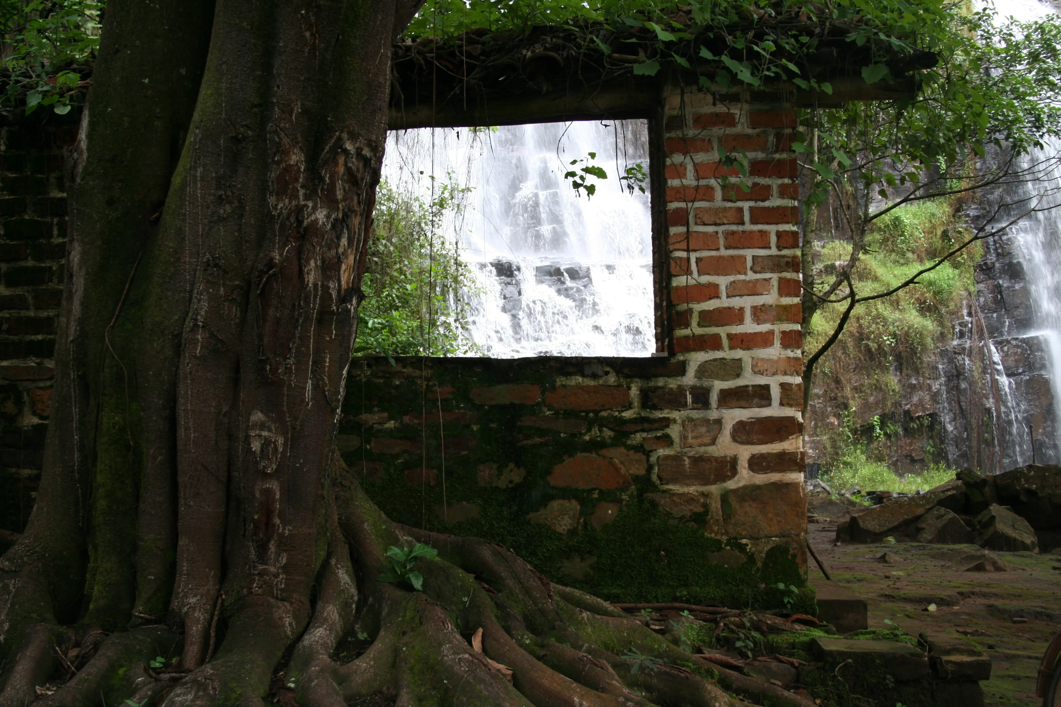 Karera Falls: Biological continuity