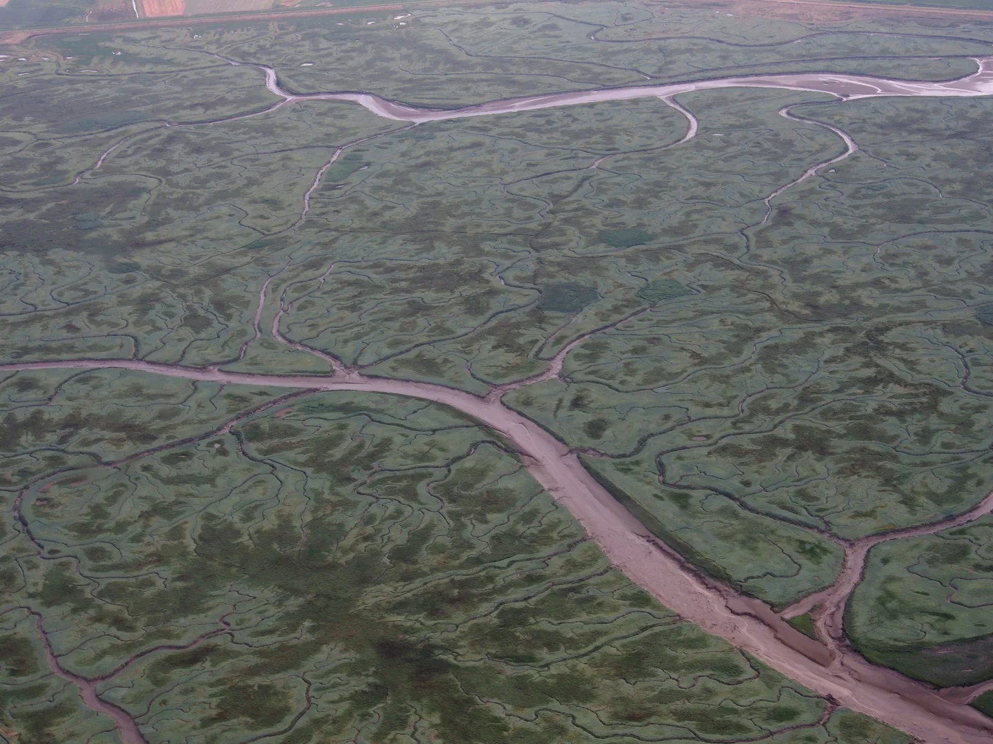 Verdronken Land van Saeftinghe