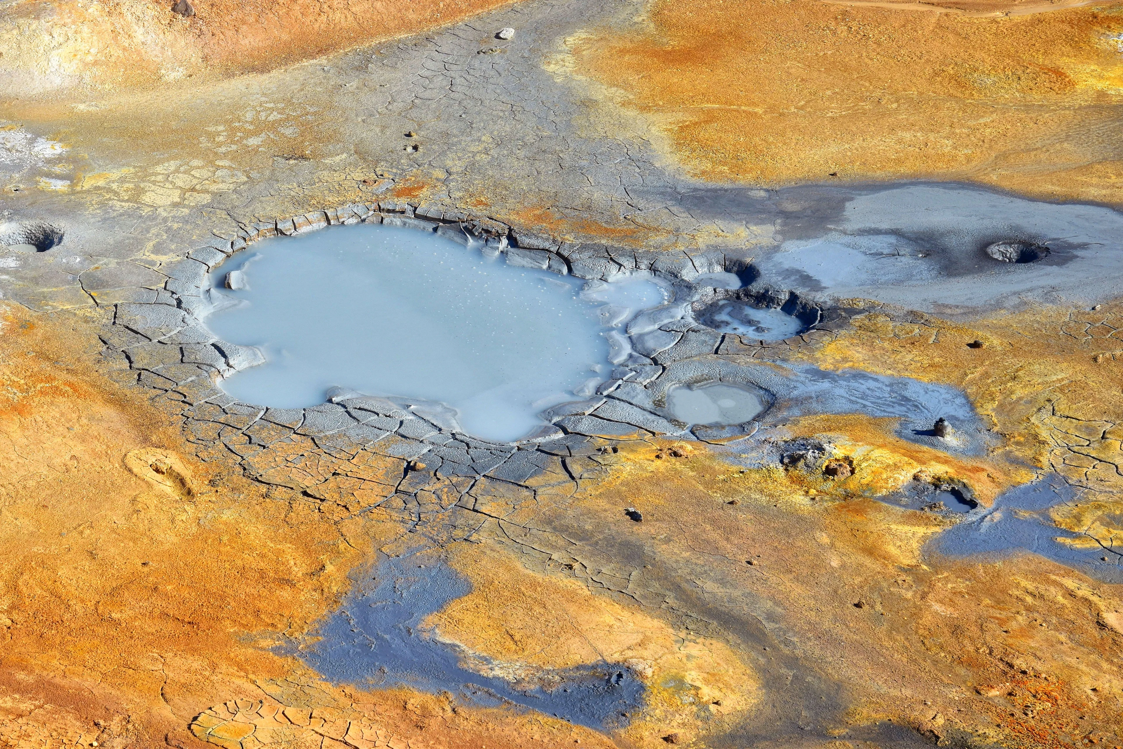 Some like it hot... in the acidic mudpot