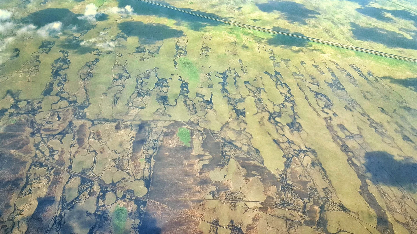 Alive Coastal Wetland
