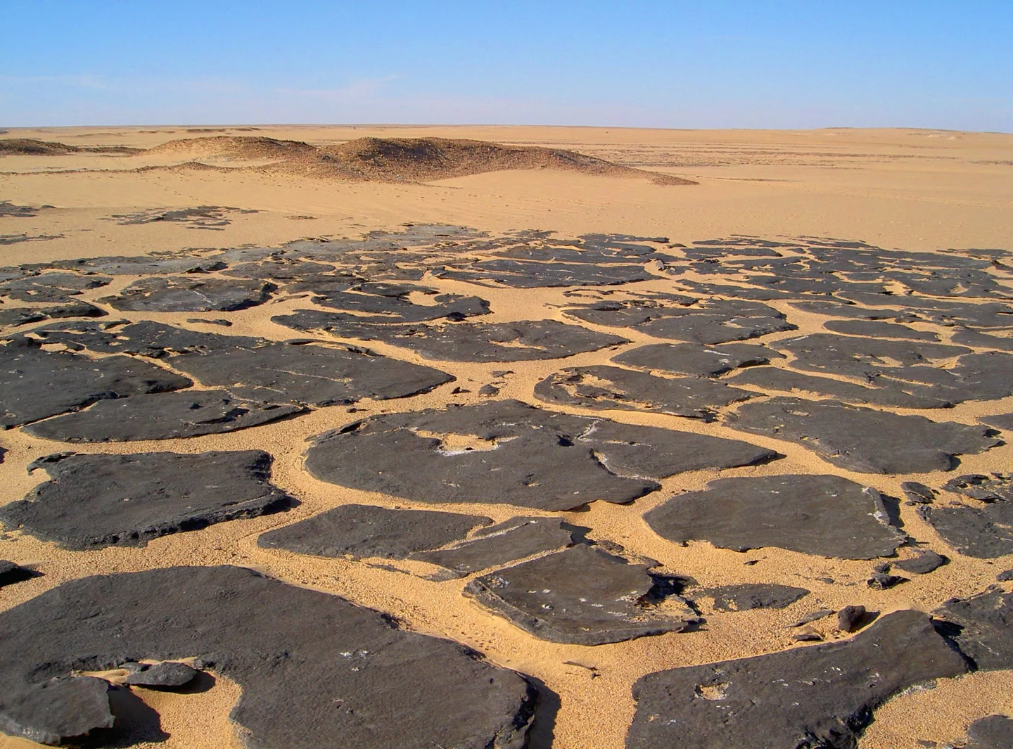 Buried columns covered by sand