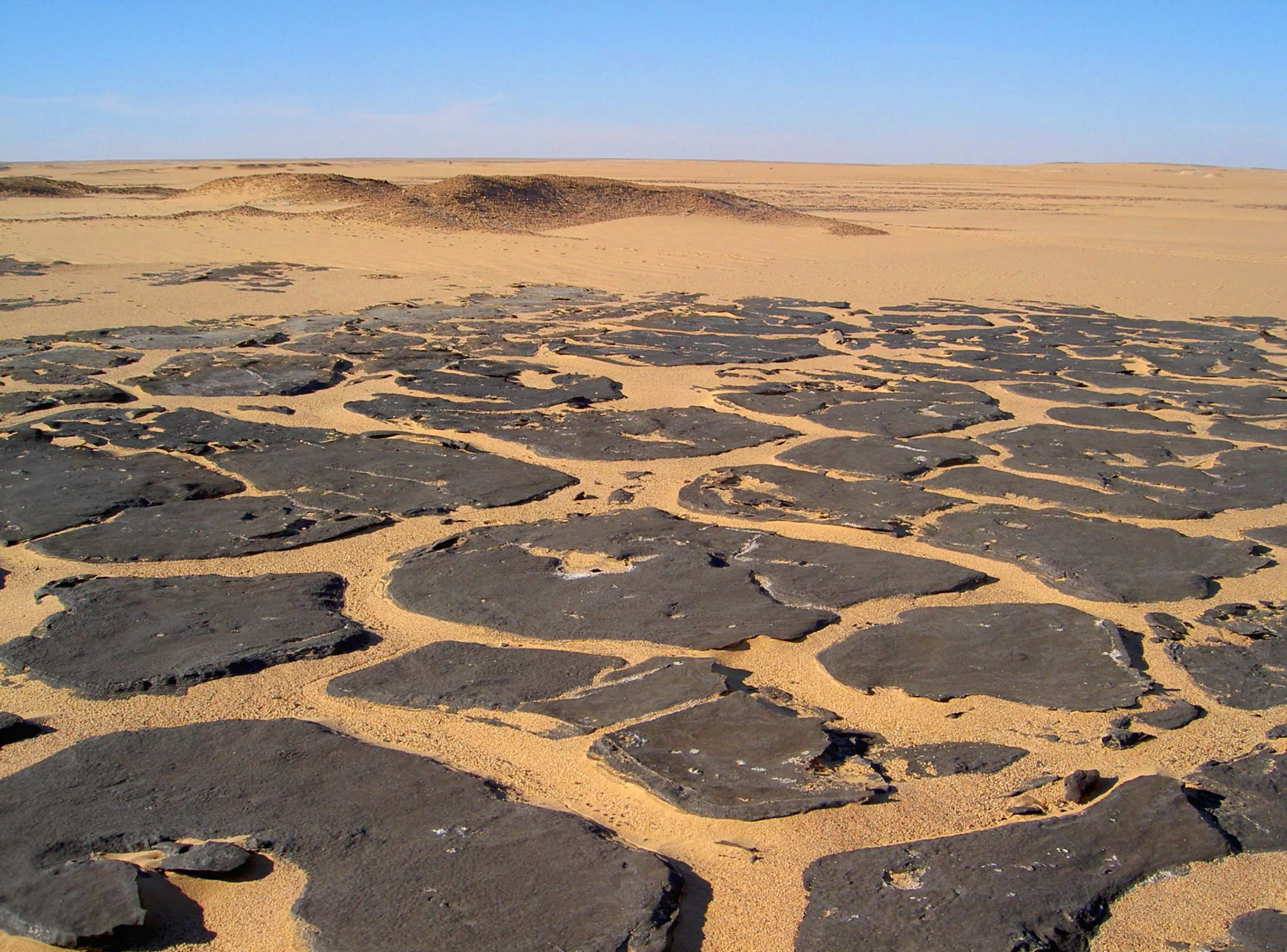 Buried columns covered by sand