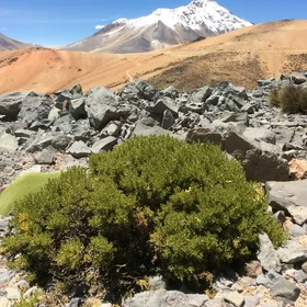 A peaceful Peruvian-Chilean border