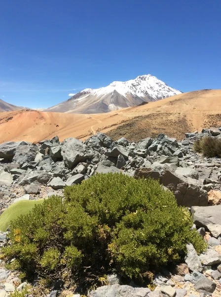 A peaceful Peruvian-Chilean border