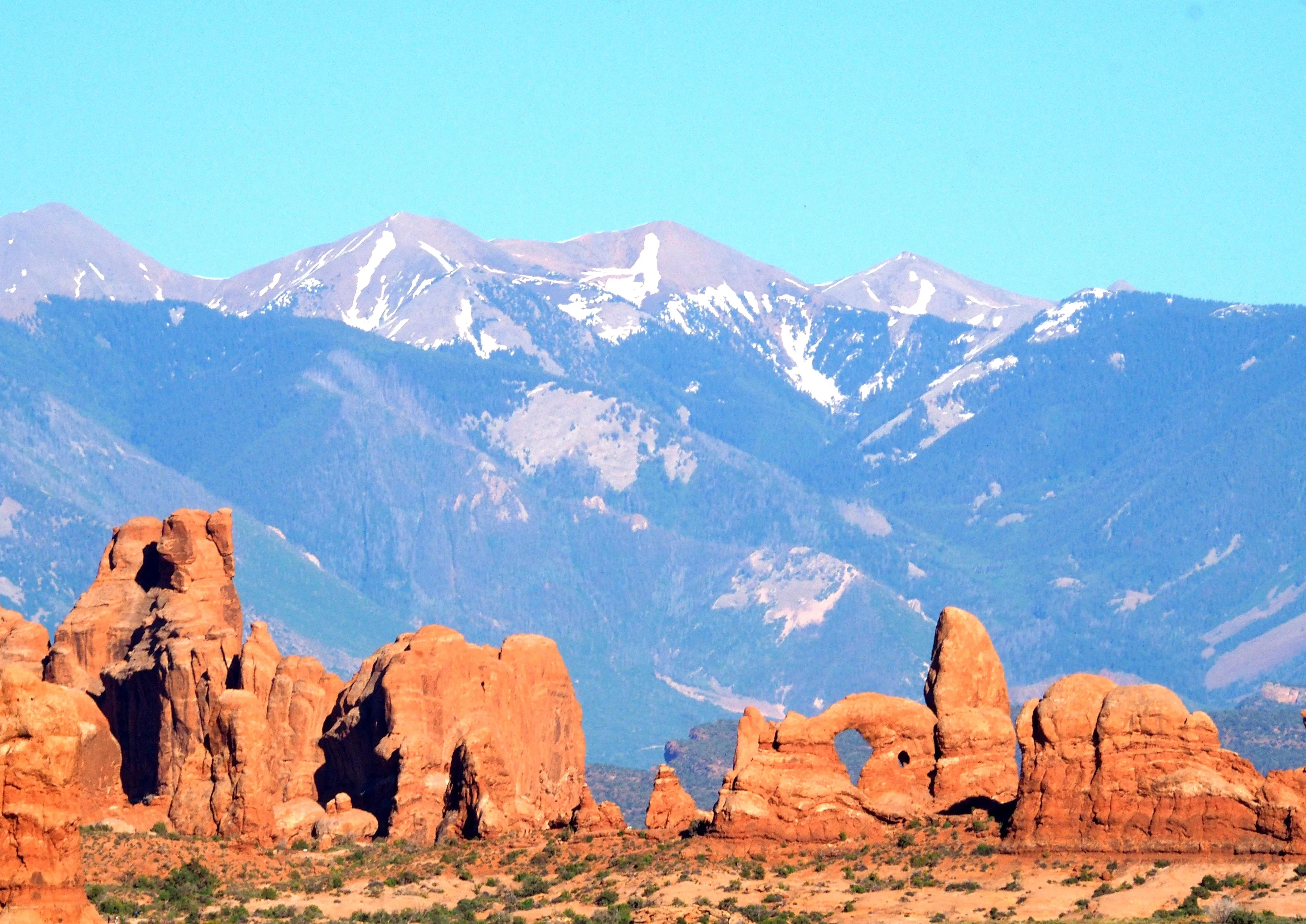 Tall and taller (Arches NP)