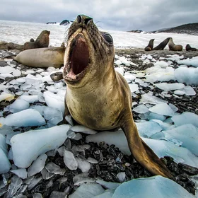 Maybe angry 'cause of global warming