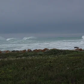 South Africa: The Storm Rider
