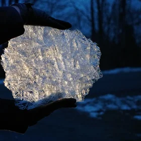 Winter treasure from Hudson river
