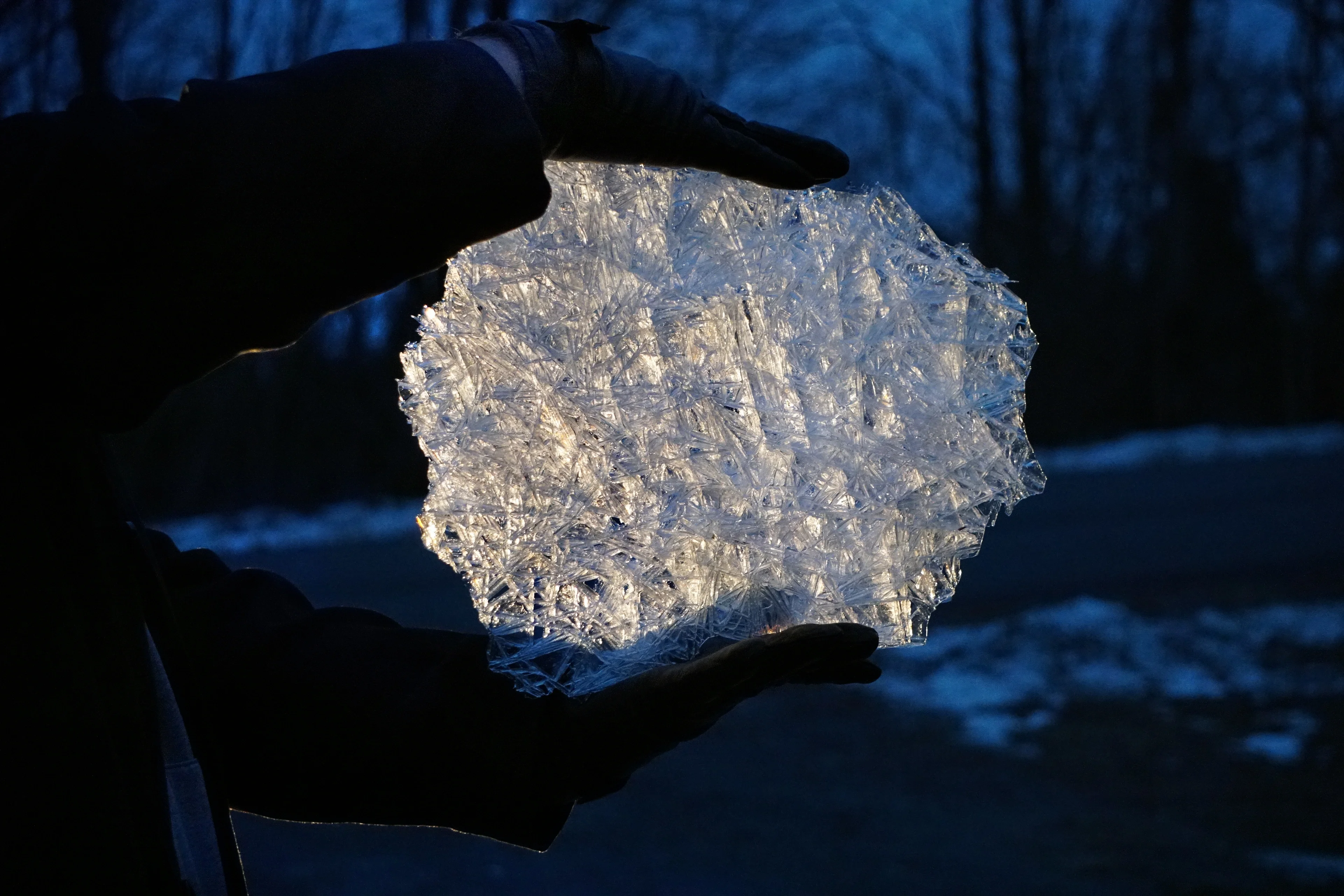 Winter treasure from Hudson river