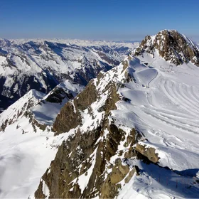 Ants holidaying on a glacier