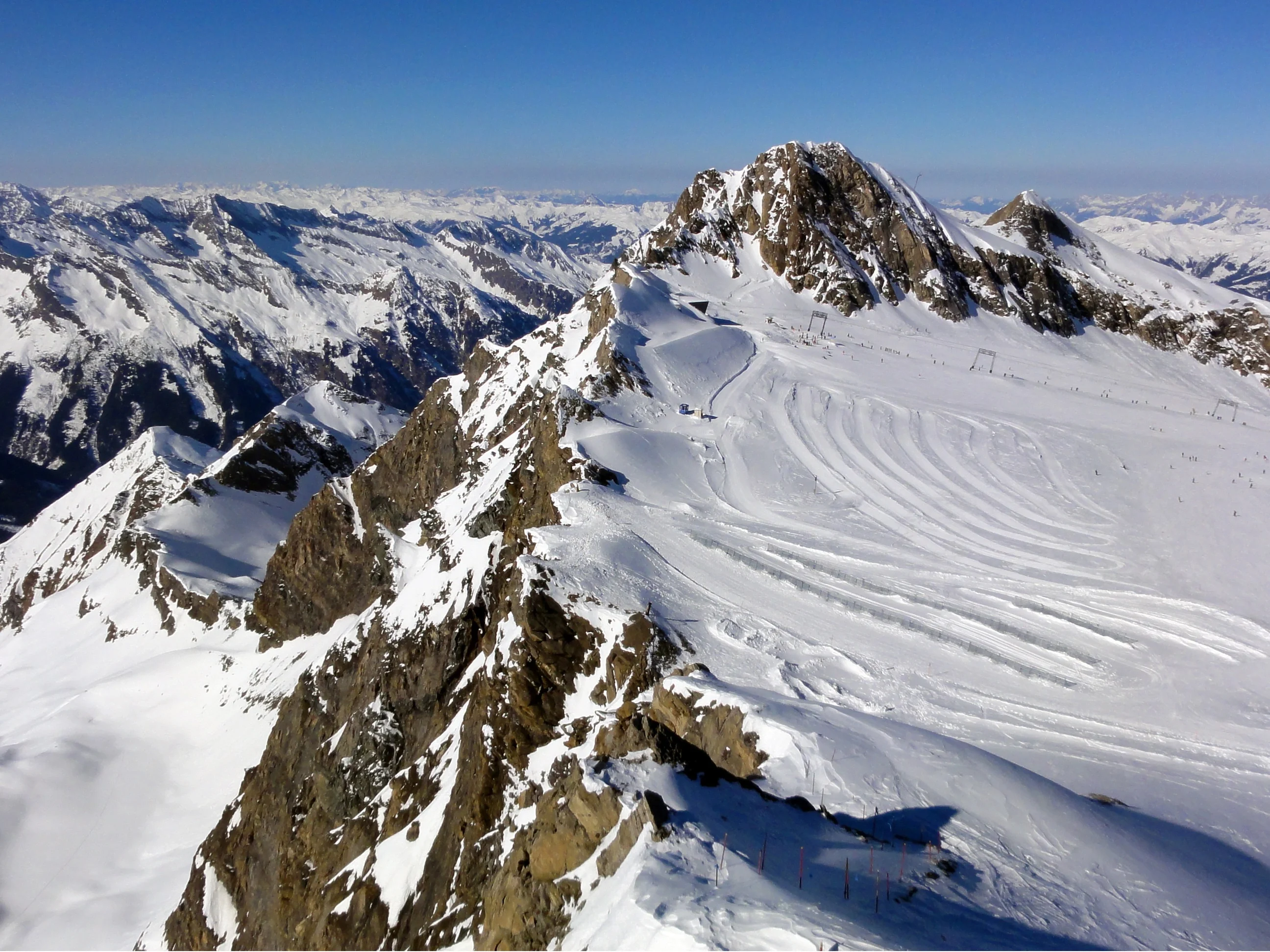 Ants holidaying on a glacier