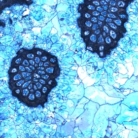 Blue cements in Jurassic rocks?