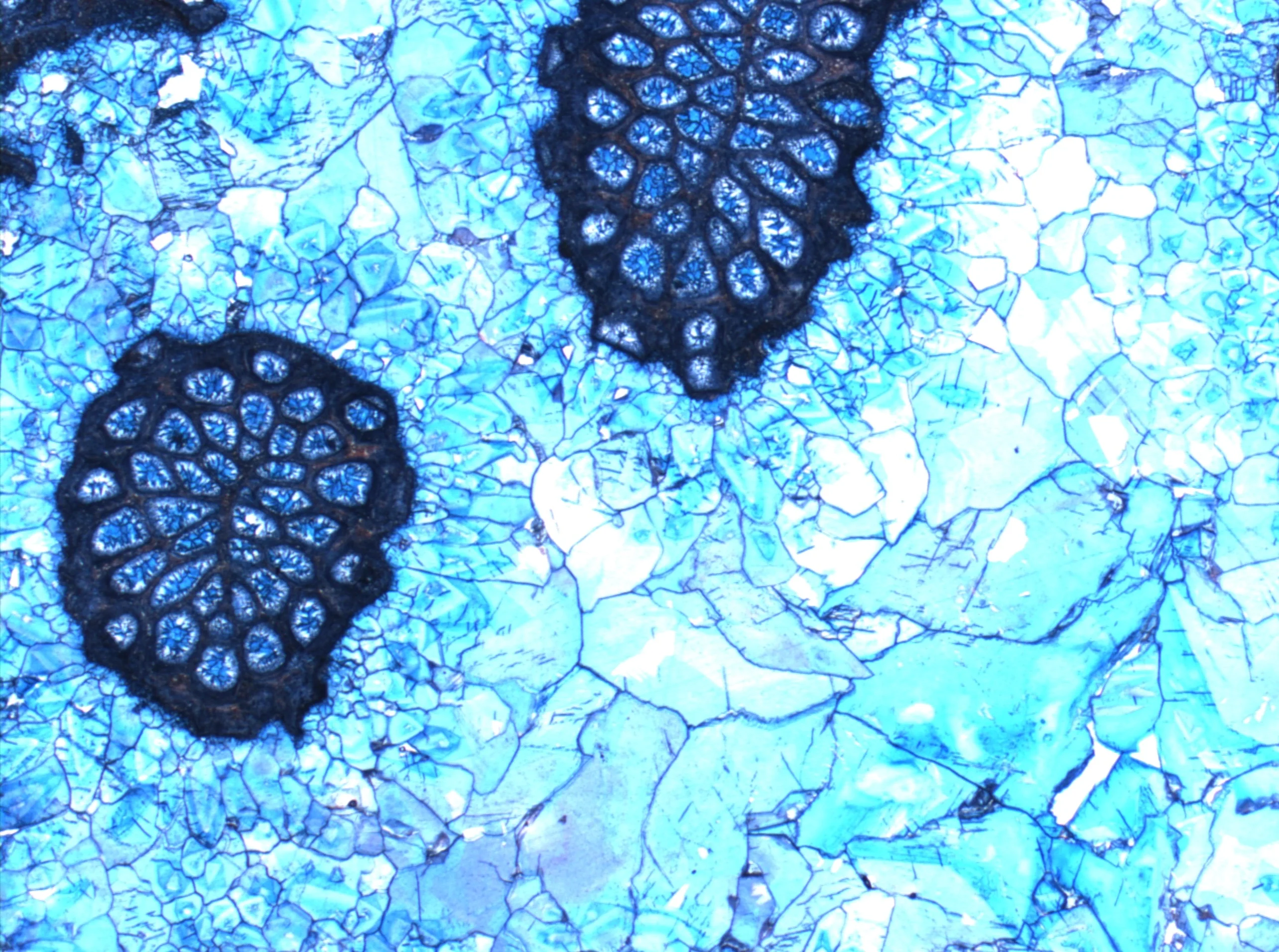 Blue cements in Jurassic rocks?