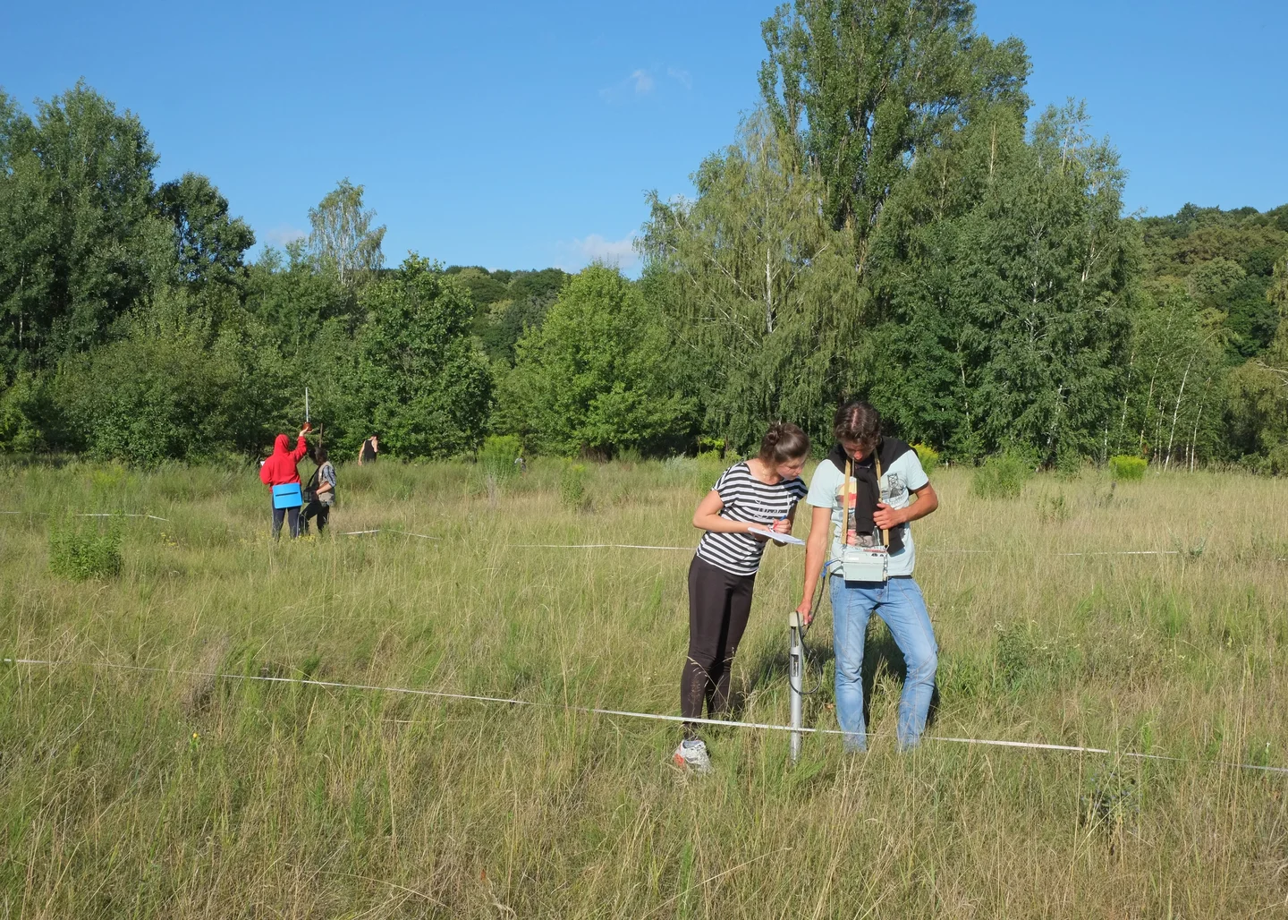 Quality control in geophysics