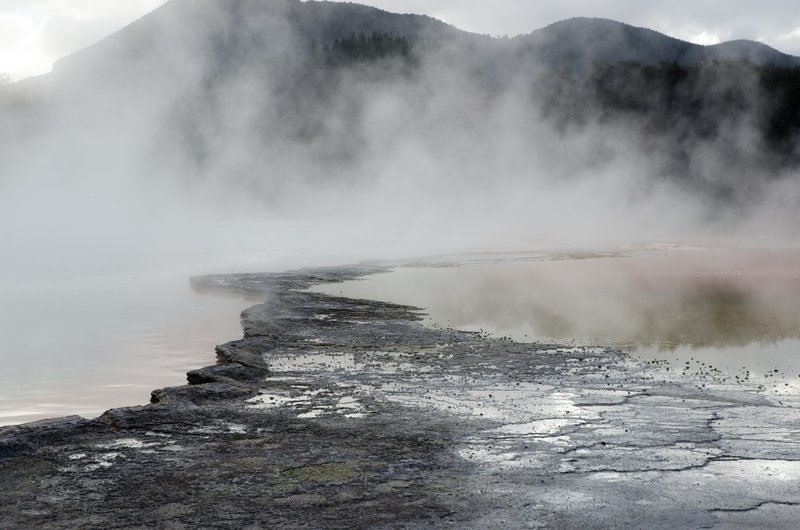 Steaming Earth (Warakei geothermal valley, New Zealand)