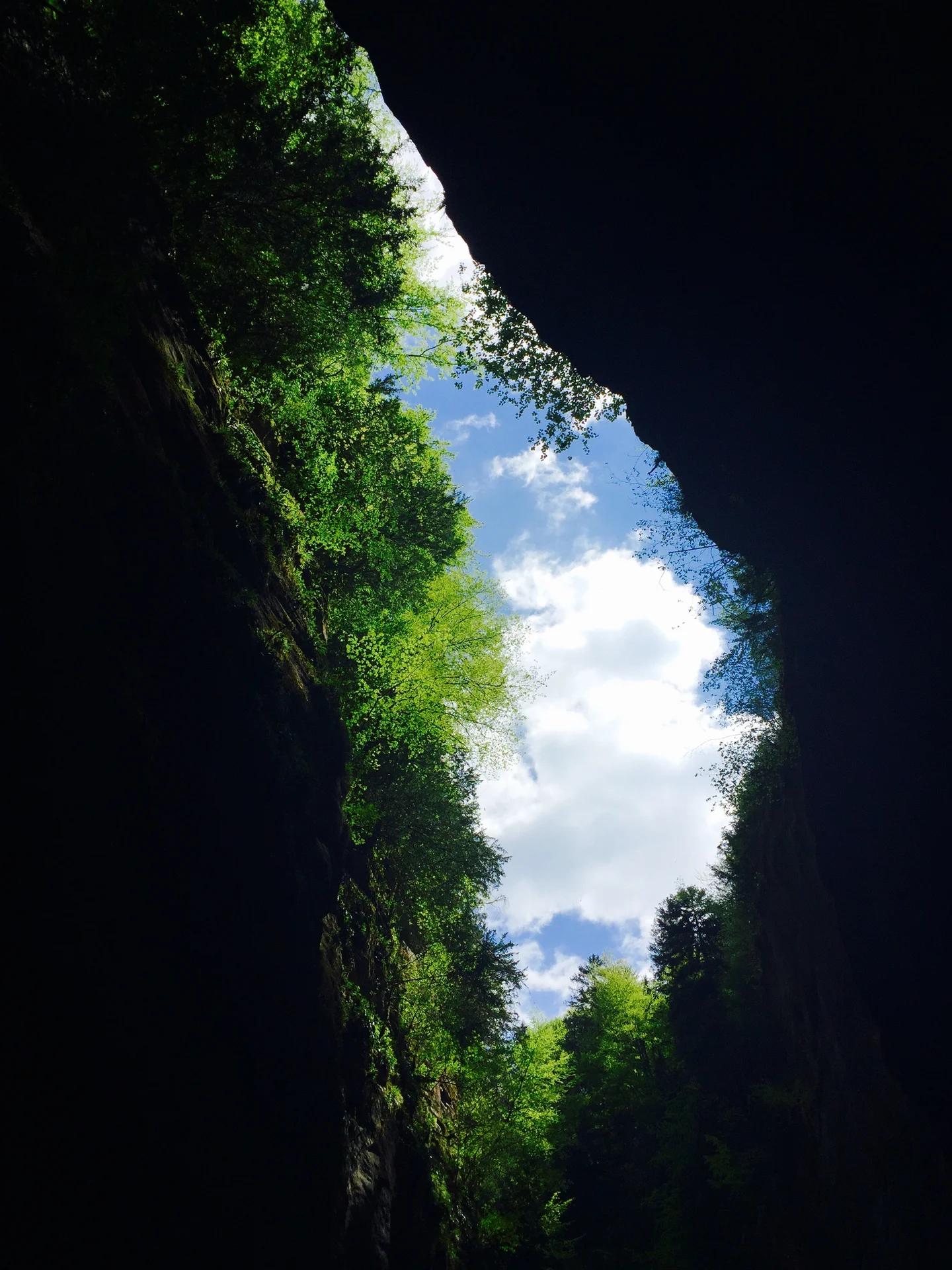Aareschlucht; a darkland