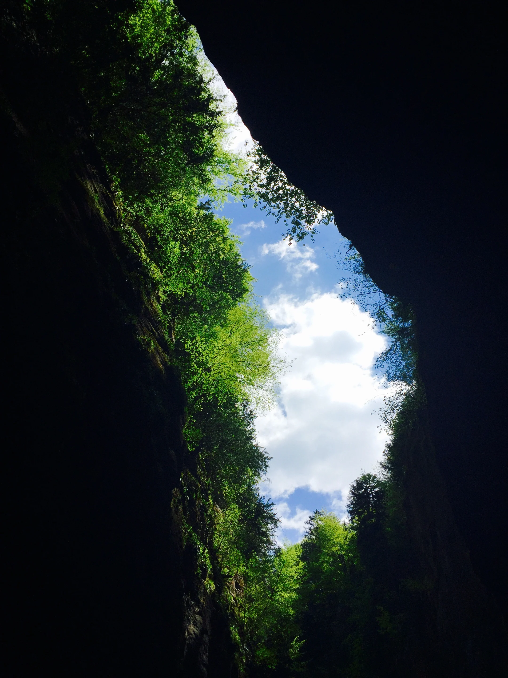 Aareschlucht; a darkland