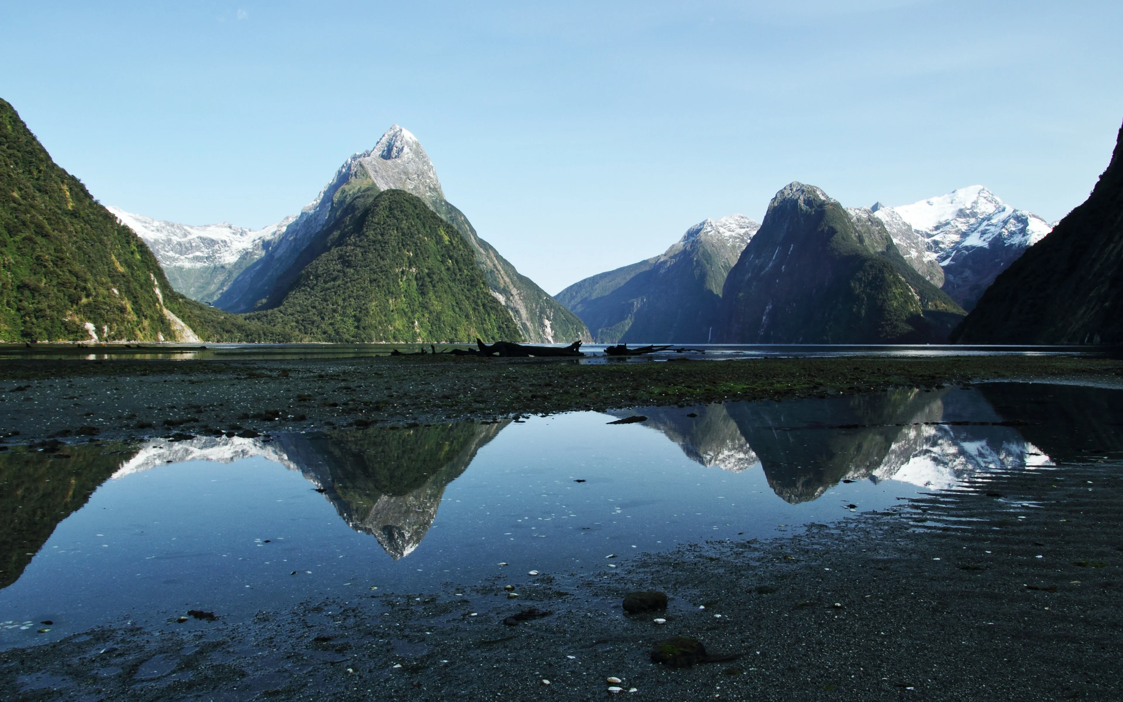 Reflections at Piopiotahi