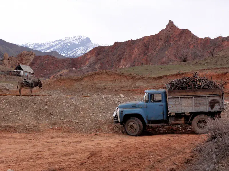 The various meanings of field work