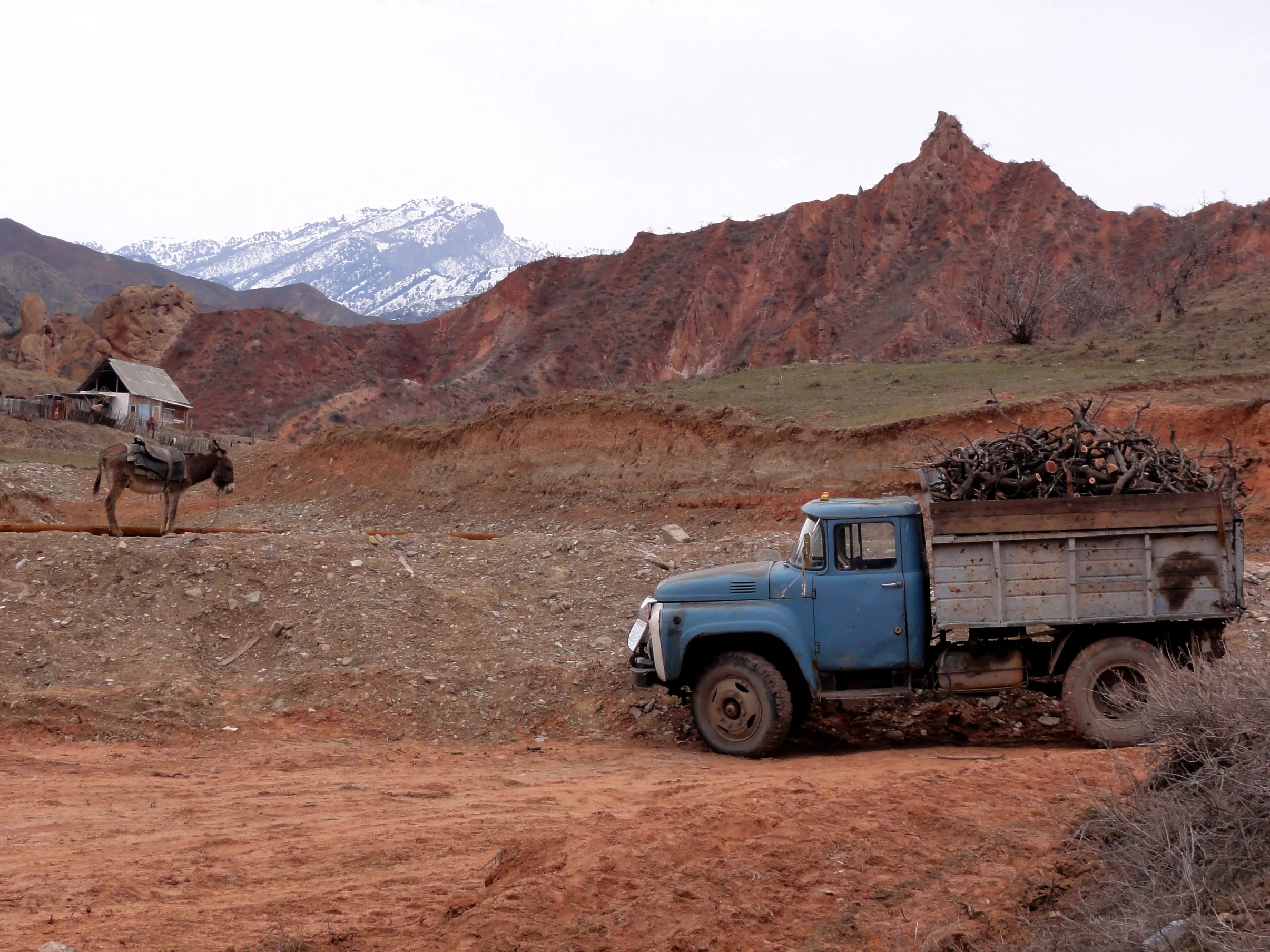 The various meanings of field work