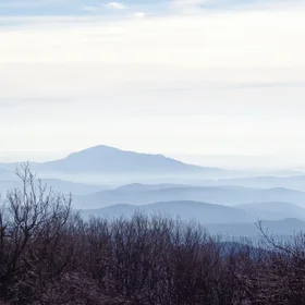 Winter awakening in the haze