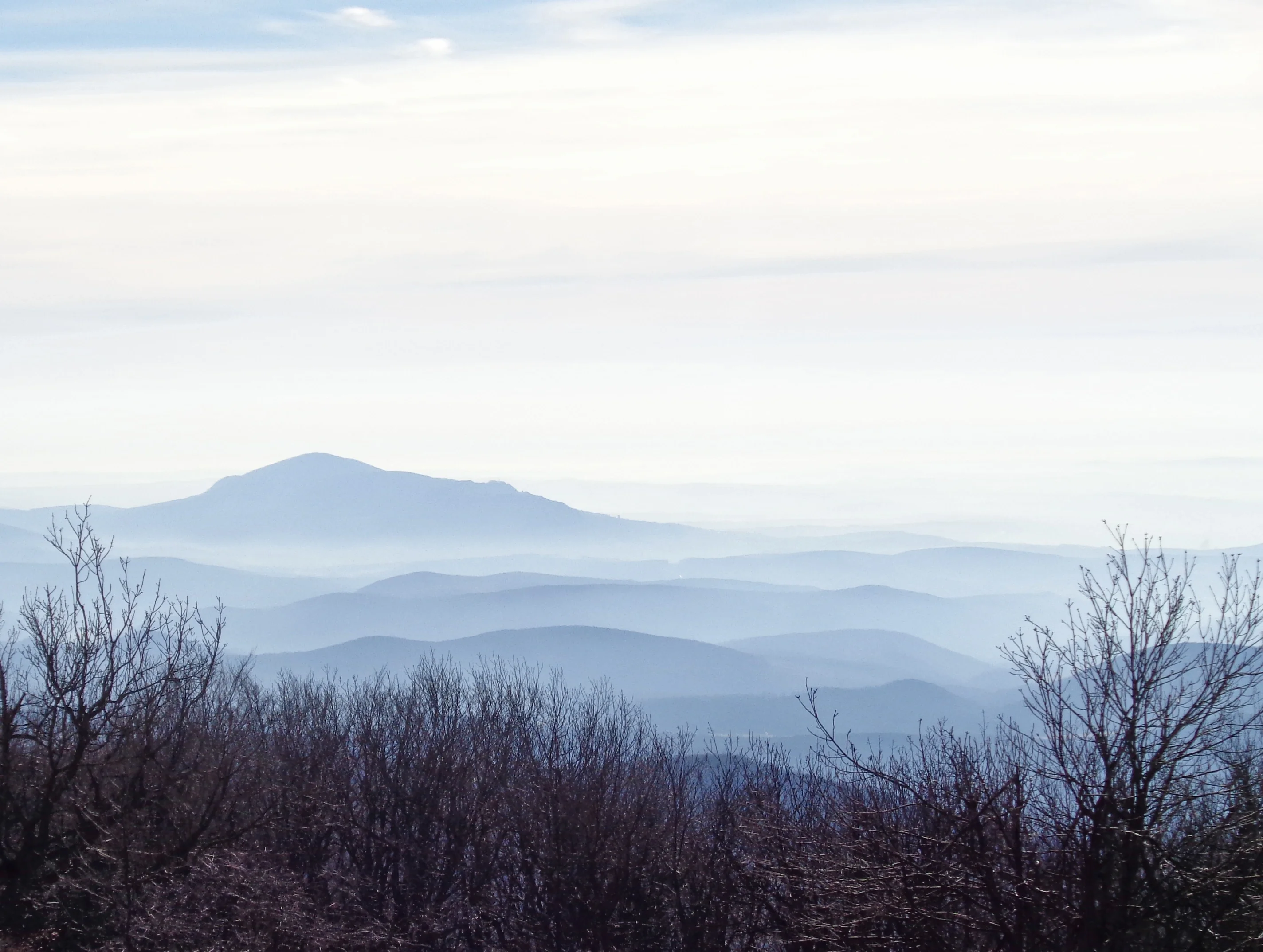 Winter awakening in the haze