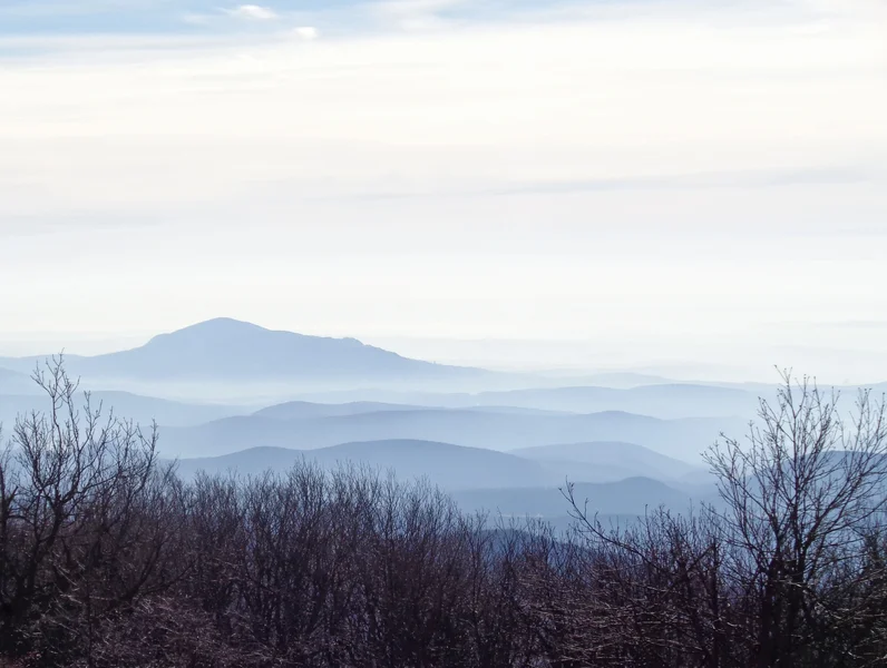 Winter awakening in the haze