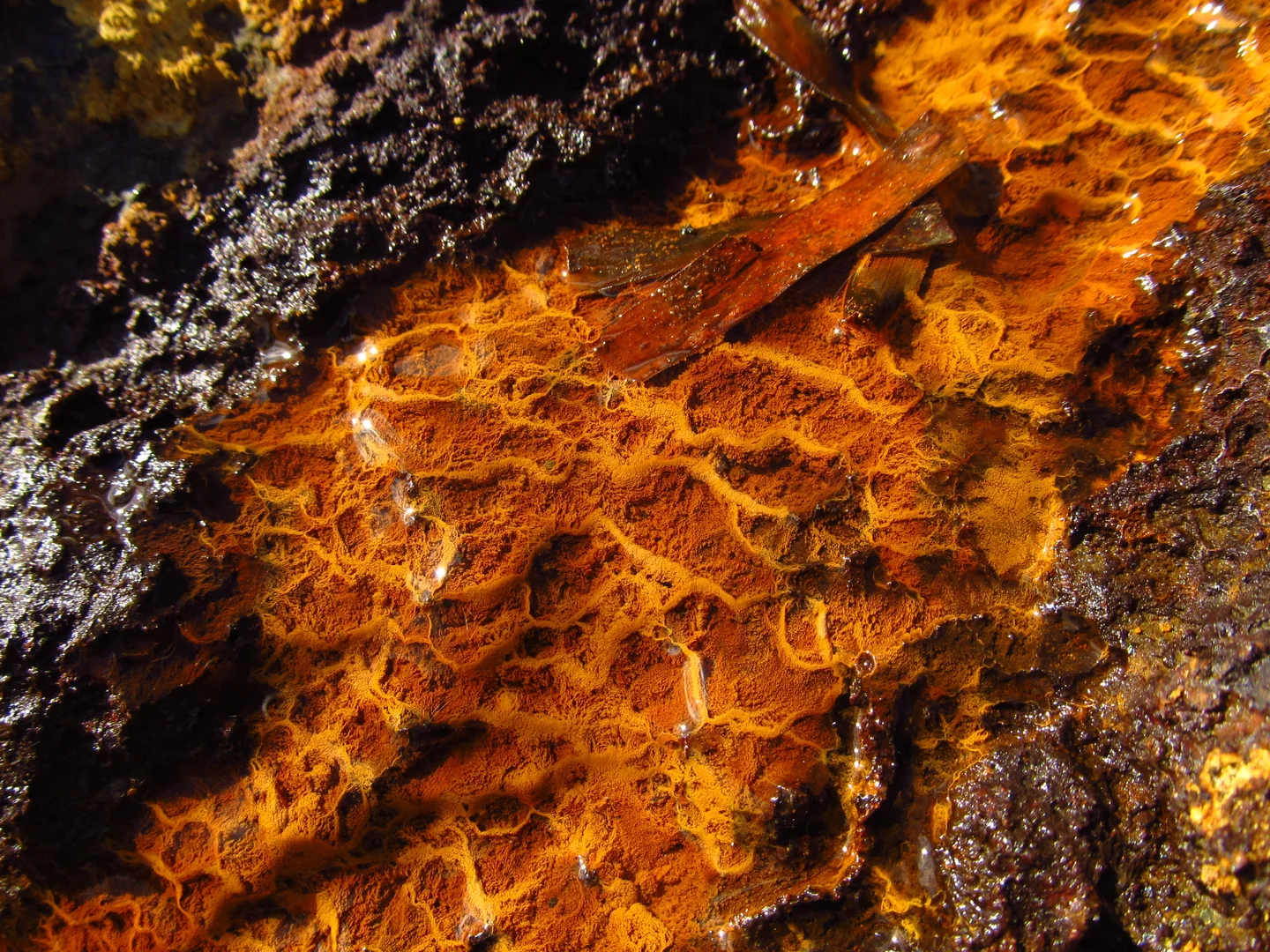 Weathering "terraces"