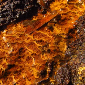 Weathering "terraces"
