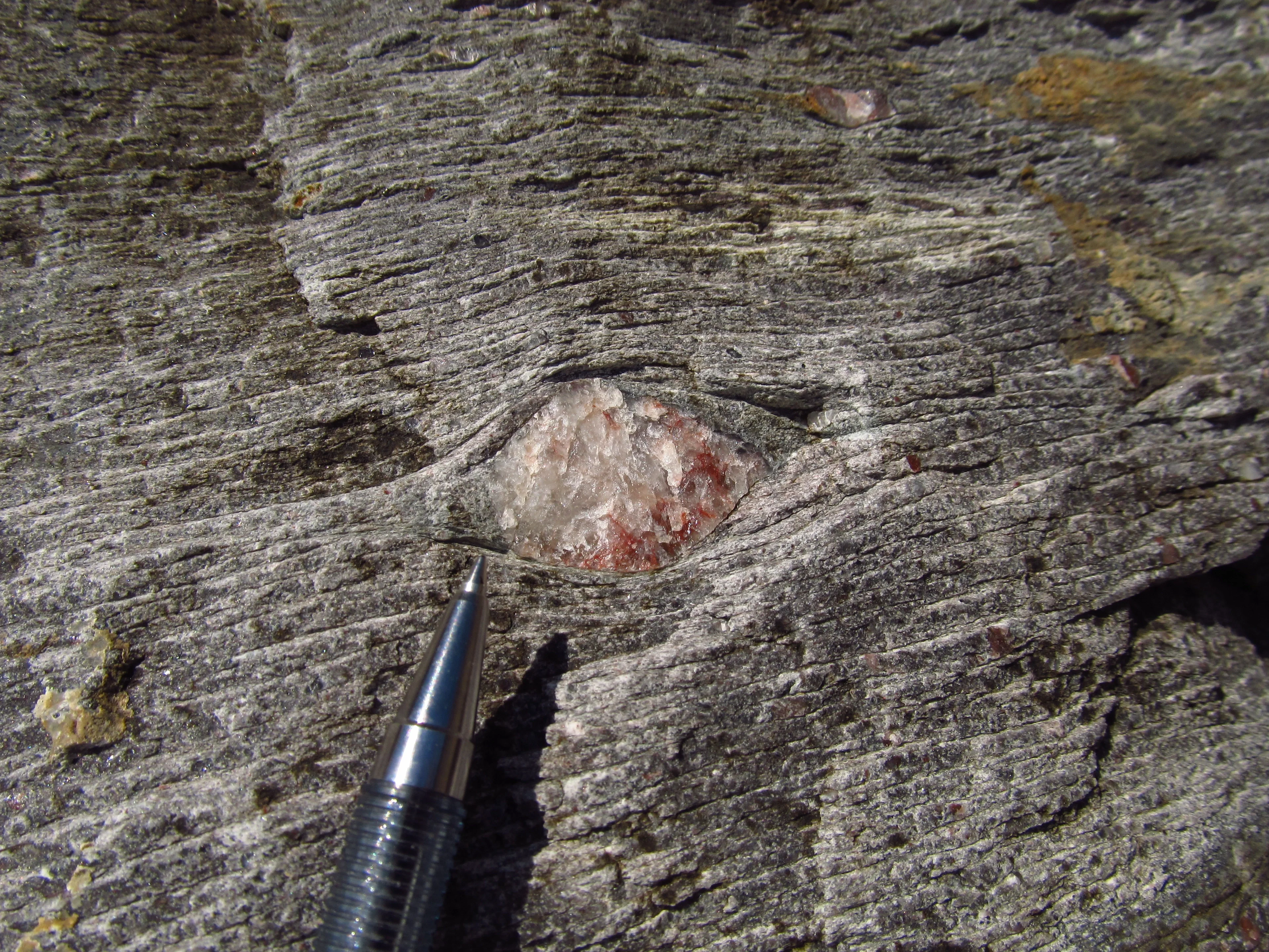 Deformed augen-like clast, Punta Bianca, La Spezia