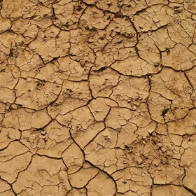 Beautiful even when dry