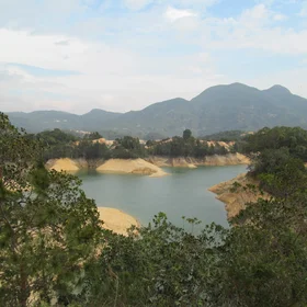Not Just a Concrete Jungle - Tai Lam Chung, Hong Kong