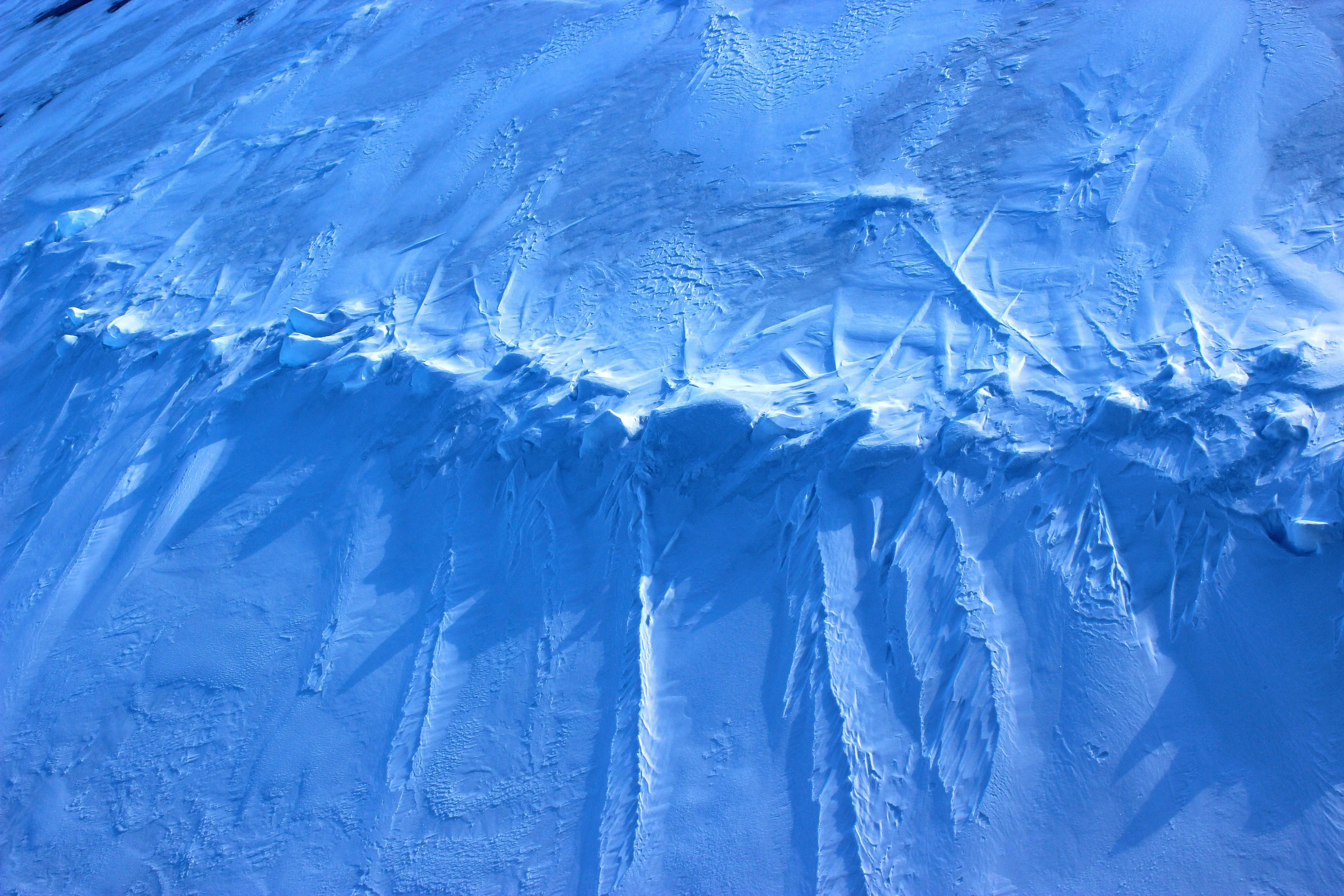 Polar backbone (Arctic Ocean)